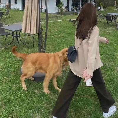 捍卫雅各布