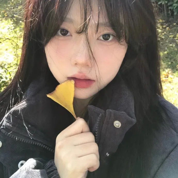 绝命追踪